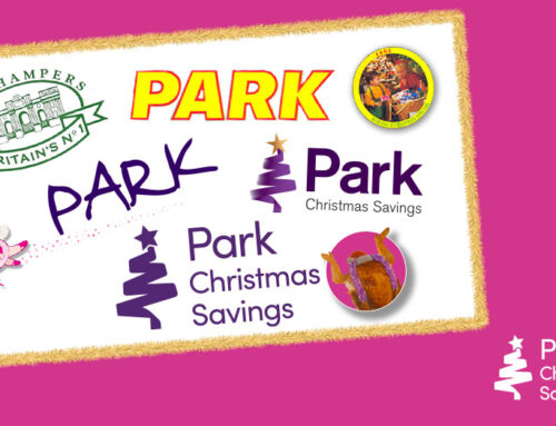 Unwrapping Festive Memories With Park