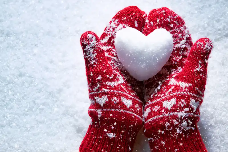 snow mittens snow mittens